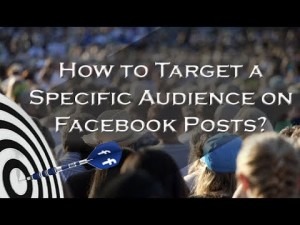 How to Target Specific Audience on Facebook Posts 300x225