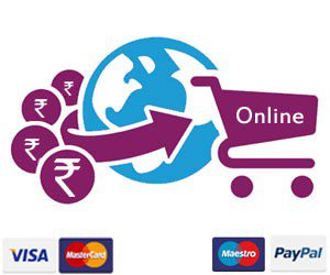 Online Payment Solutions 300x250
