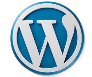 WordPress Website 300x250