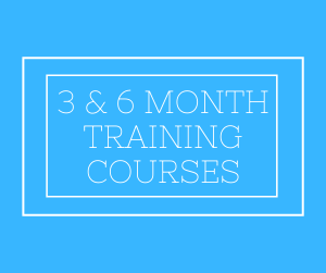 3 and 6 month training courses